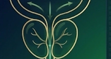 Enlarged Prostate (BPH)